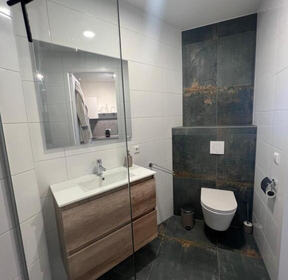 Студио Стандарт с Террасой, Neptunus Appartementen