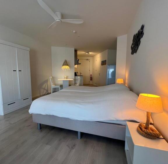 Студио Стандарт с Террасой, Neptunus Appartementen