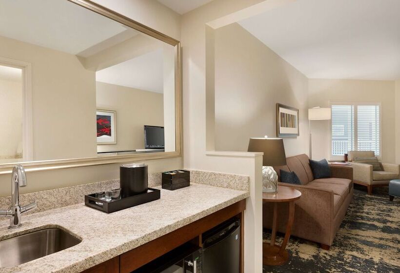 סוויטה, Embassy Suites By Hilton Denver Downtown Convention Center