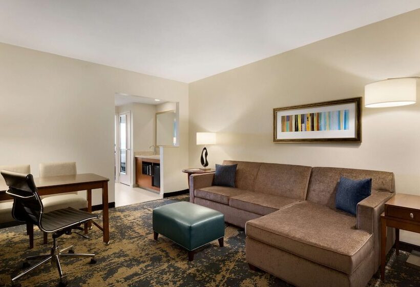 סוויטה נוף להרים, Embassy Suites By Hilton Denver Downtown Convention Center