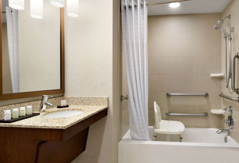 סוויטה מותאמת לאדם עם מוגבלויות, Embassy Suites By Hilton Denver Downtown Convention Center