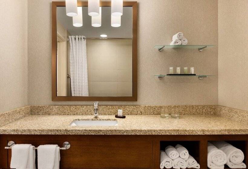 סוויטת פרמיום, Embassy Suites By Hilton Denver Downtown Convention Center