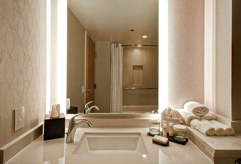 סוויטה, Embassy Suites By Hilton Denver Downtown Convention Center