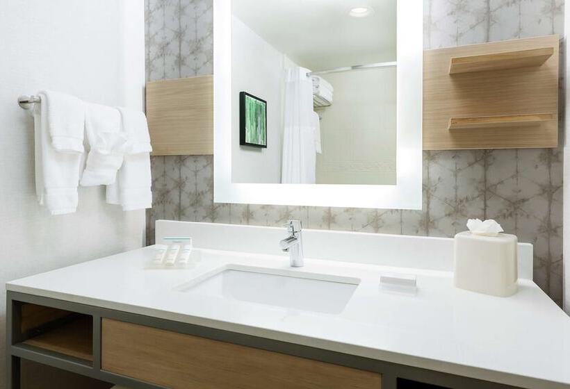 스탠다드 룸, Hilton Garden Inn Greenville
