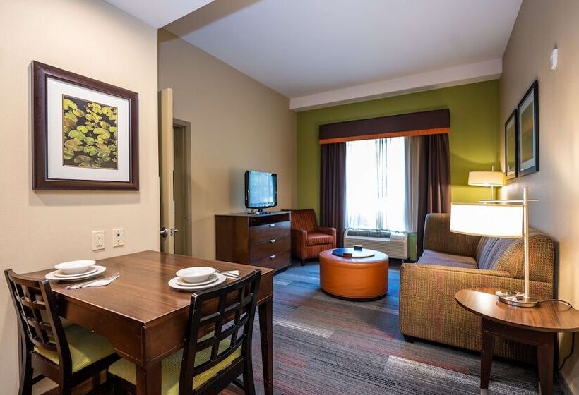 Люкс, Homewood Suites By Hilton Birmingham Sw Riverchase Galleria
