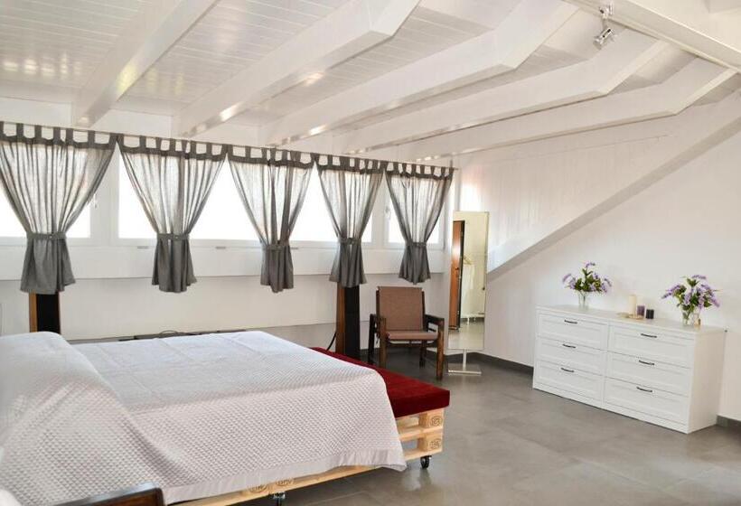 استودیو استاندارد با تراس, Walter