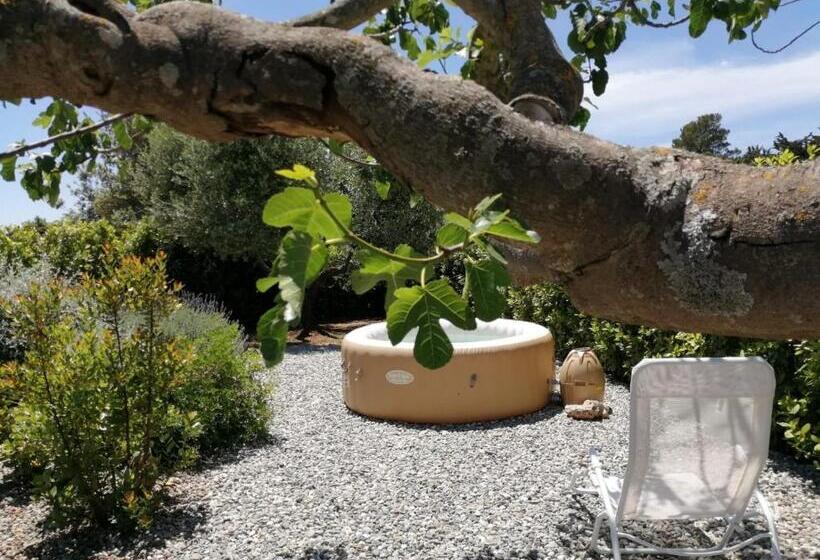 标准间, I Colmi   Trulli Suites
