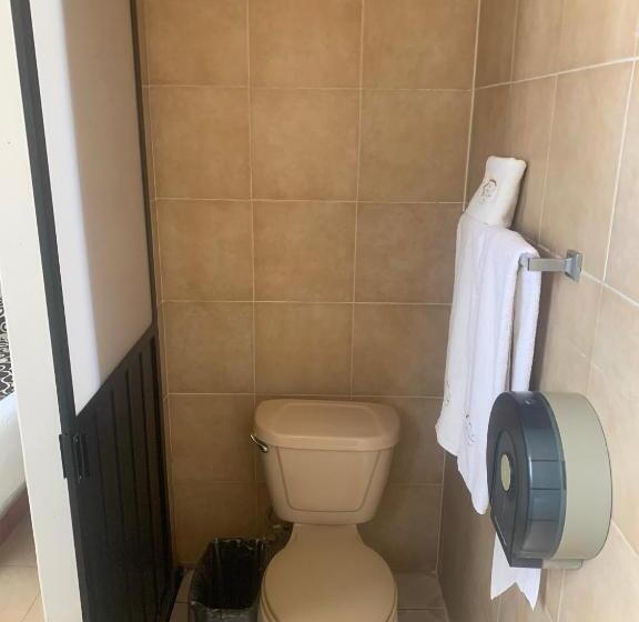 غرفة قياسية, Arbis