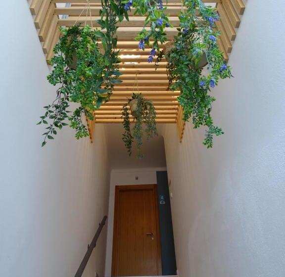 سوییت سوپریور, Calmaria Guesthouse