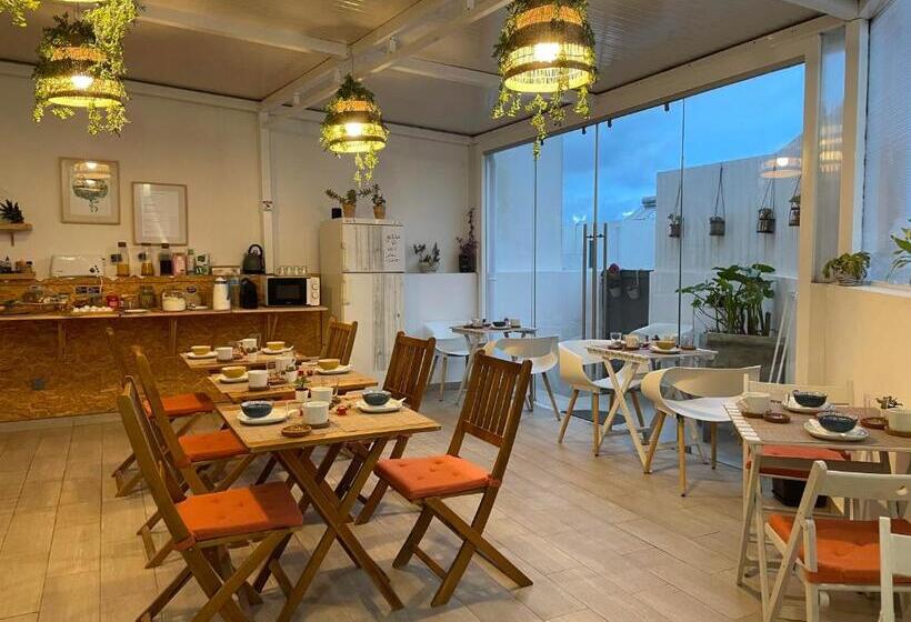 سوییت, Calmaria Guesthouse