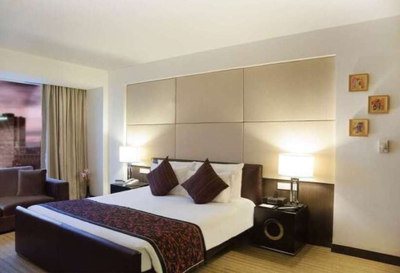 商务房间, Radisson Blu Hotel Pune Kharadi