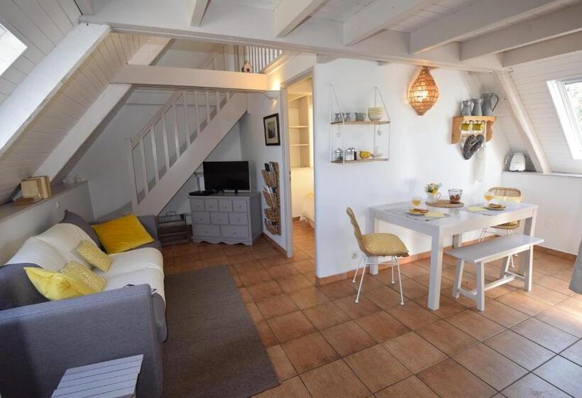 Люкс Дюплекс, Manoir Des Petites Bretonnes