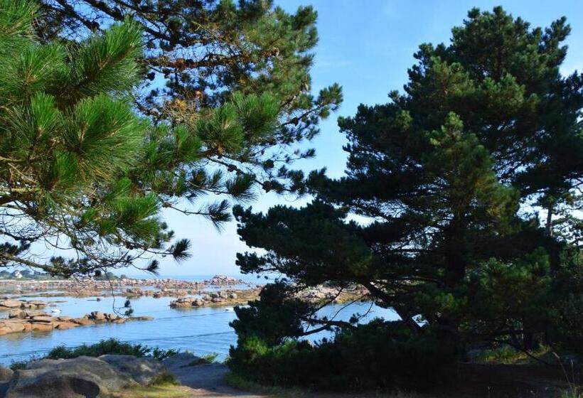 Номер Стандарт Вид на Парк, Manoir Des Petites Bretonnes