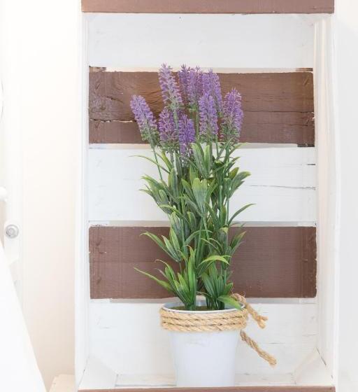 اتاق لوکس, B&b Casa Del Faro Sanvallero Adults Only