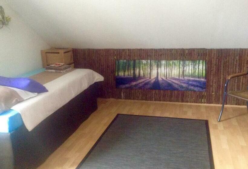 Quarto Estandar, Haus Drossel