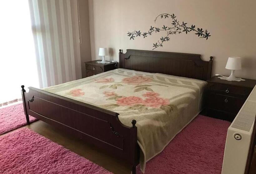 Номер Стандарт с Террасой, Guest Rooms Profirov