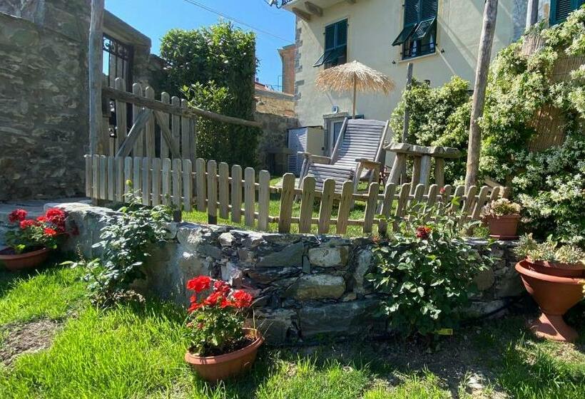 Quarto Estandar, Madüneta 5 Terre