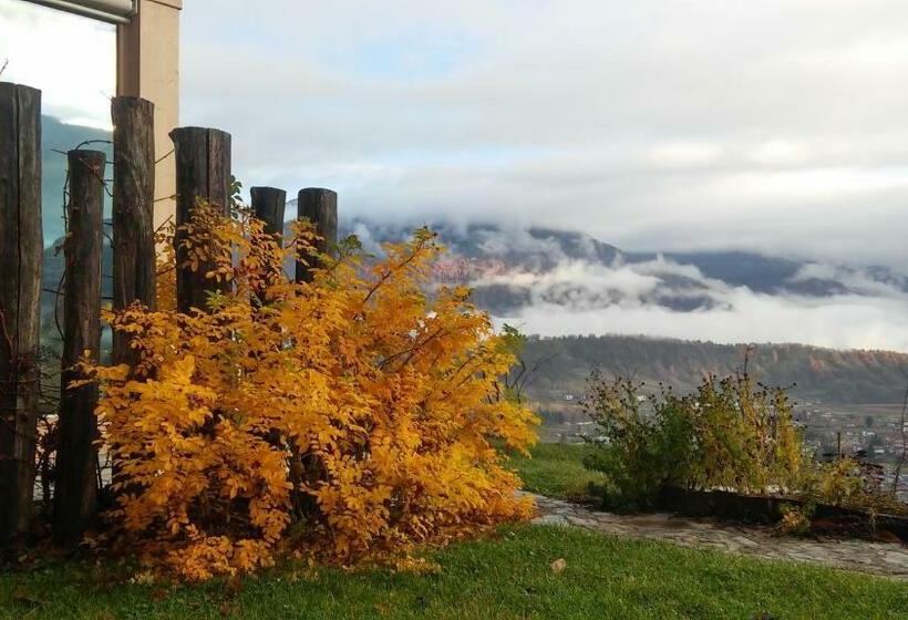 스탠다드 룸, Agriturismo Verdecrudo