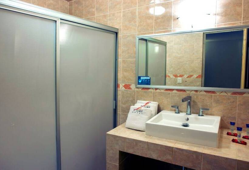 اتاق استاندارد با 2 تخت دوبل, St. George