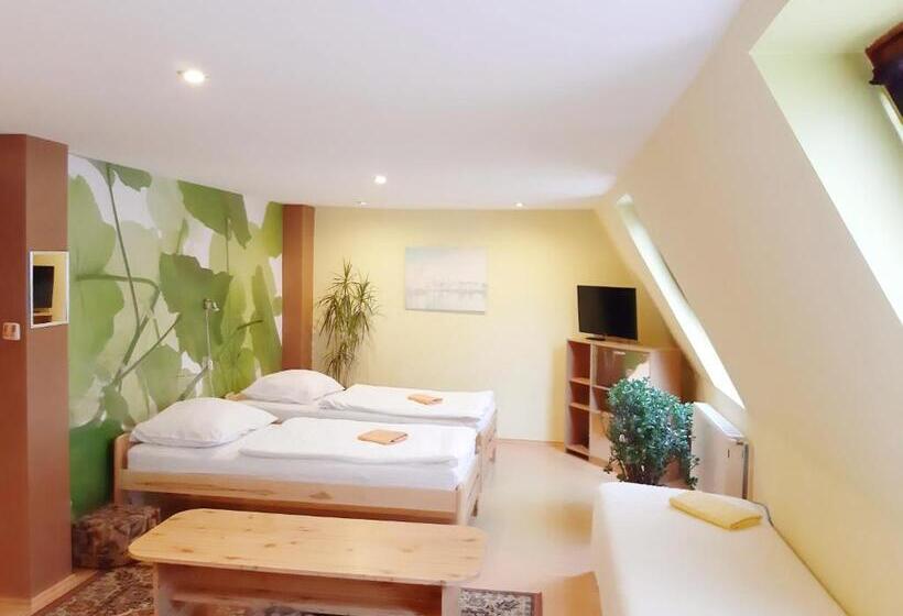 Четырехместный Номер Стандарт Вид на Сад, Penzion Havaj