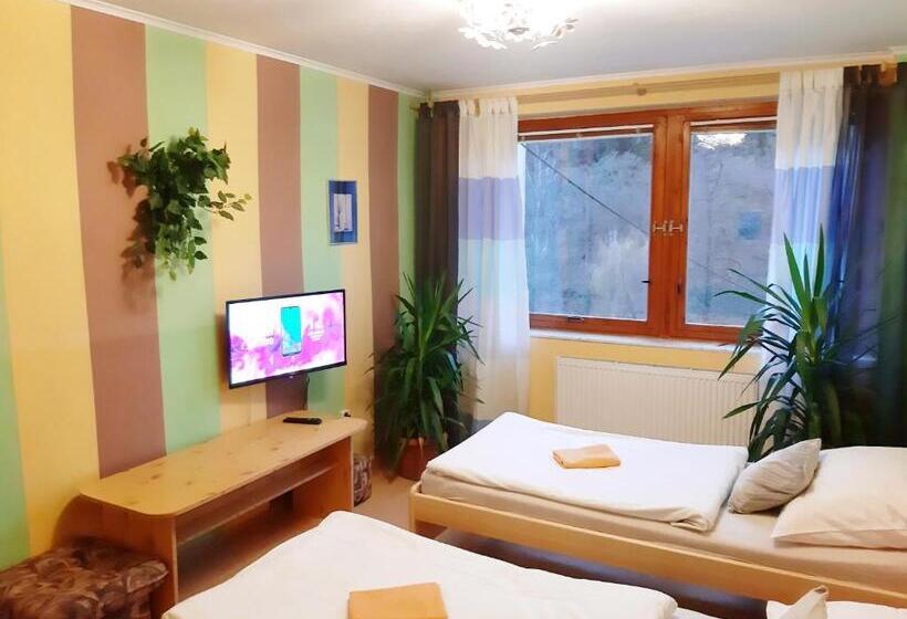 Номер Стандарт, Penzion Havaj