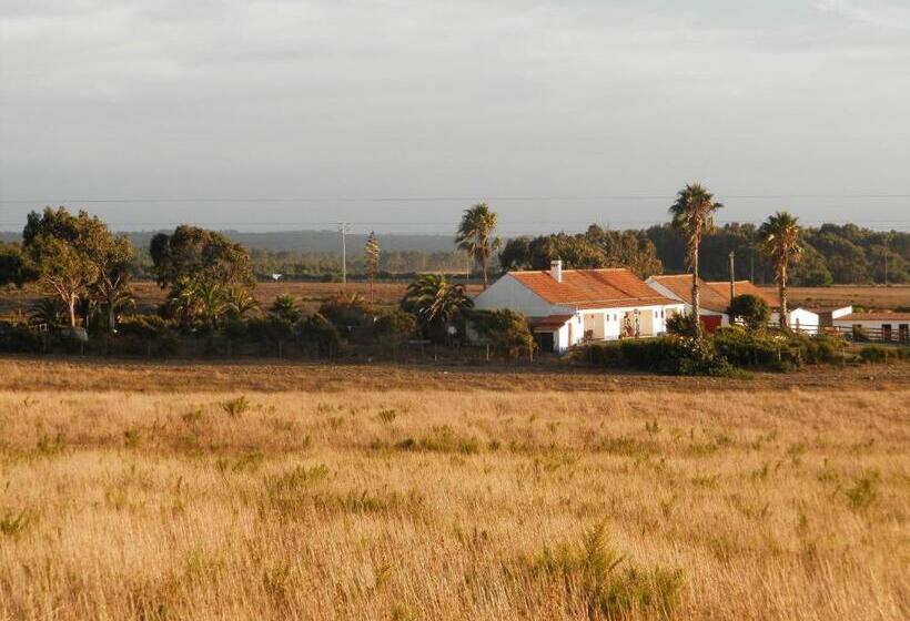 اتاق استاندارد با چشم‌انداز دریا, Herdade Do Pessegueiro