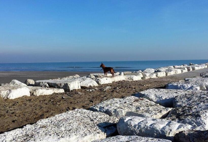 آپارتمان 1 خوابه, L Antico Lido Venice