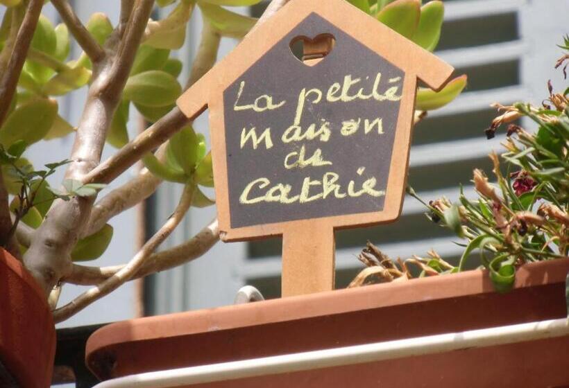 Номер Стандарт, Petit Grenier Douillet De Cathie