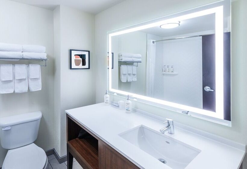 Номер Стандарт, Holiday Inn Hotel & Suites Tulsa South, An Ihg