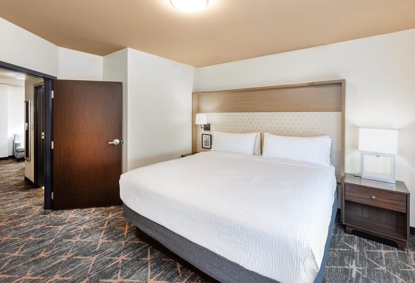 Номер Стандарт, Holiday Inn Hotel & Suites Tulsa South, An Ihg