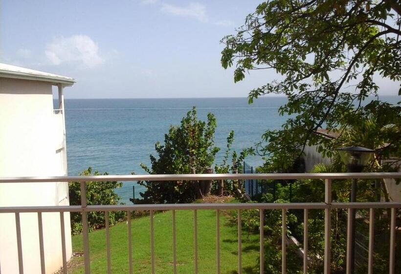 استودیوی استاندارد با چشم‌انداز دریا, Résidence De La Vielle Tour   Studio Particulier Vue Mer