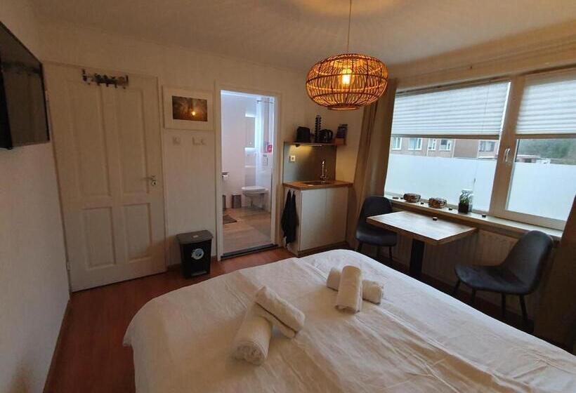اتاق استاندارد, Sleep Well Ness Domburg