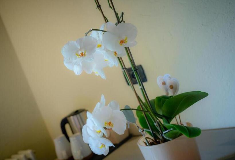 اتاق استاندارد یک نفره, Villamour Boutique Hotel & Spa