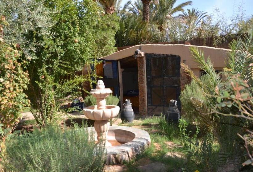 Standard Tent, Le Chant Des Palmiers
