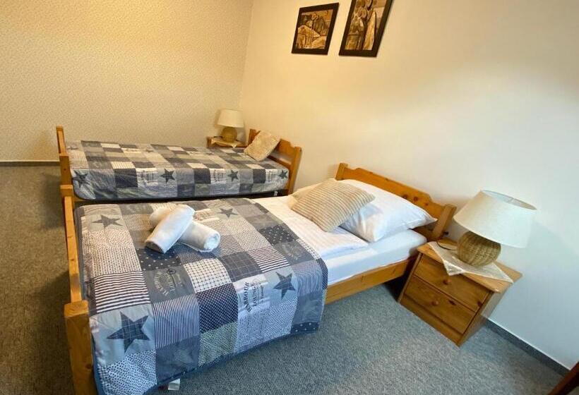 Номер Стандарт Вид на Сад, Penzión Vila Petra Bed&breakfast