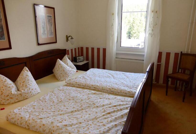 Люкс, Pension Waldesblick