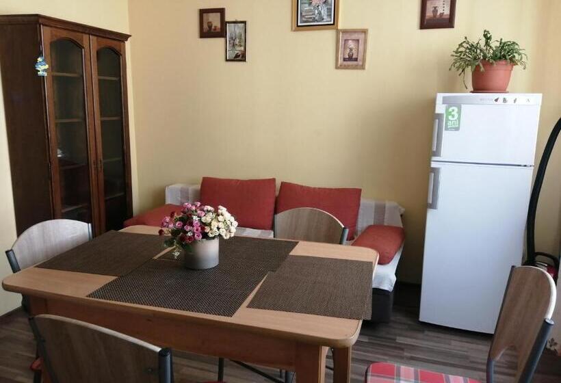 דירת חדר, Villa Casa Ioana
