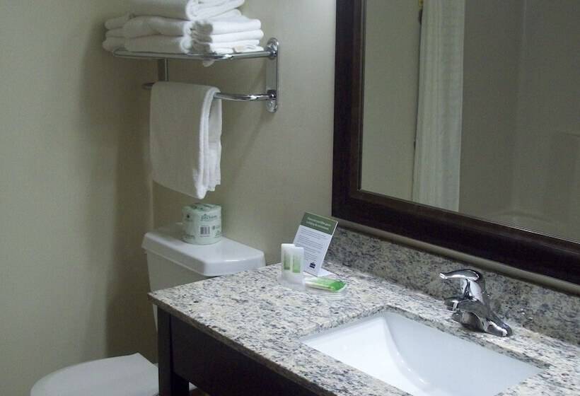Номер Стандарт 2 Двуспальные Кровати, Americinn By Wyndham Silver City