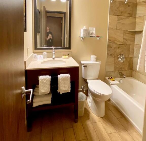 Номер Стандарт 2 Двуспальные Кровати, Best Western Plus Waterburystowe