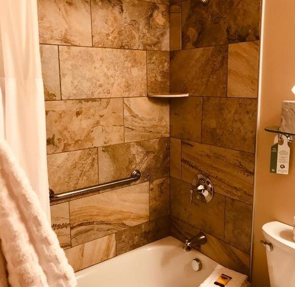 Стандартный Номер Кровать Кинг, Best Western Plus Waterburystowe