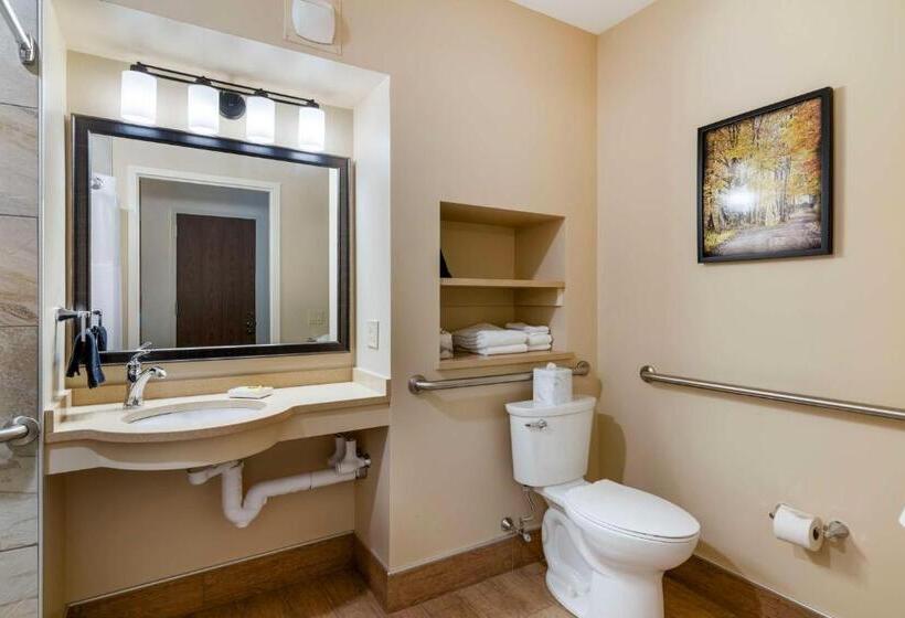 Номер Стандарт Адаптированный для Инвалидов, Best Western Plus Waterburystowe
