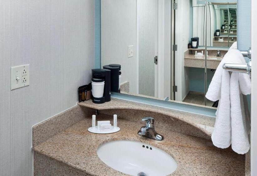 اتاق استاندارد با تخت بزرگ, Courtyard Virginia Beach Oceanfront/north 37th Street