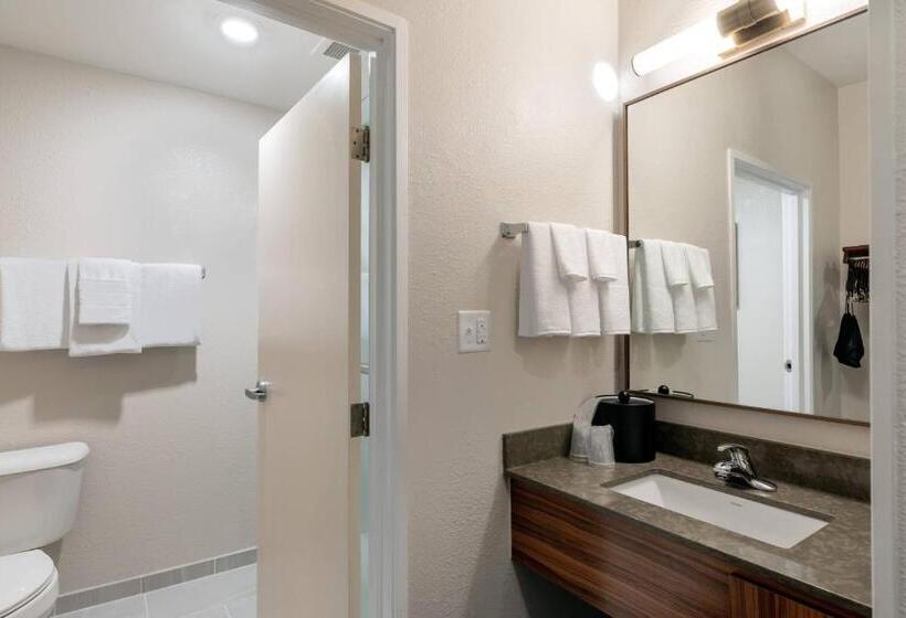 ２ダブルベッドのスタンダードルーム, Fairfield Inn & Suites Savannah Airport