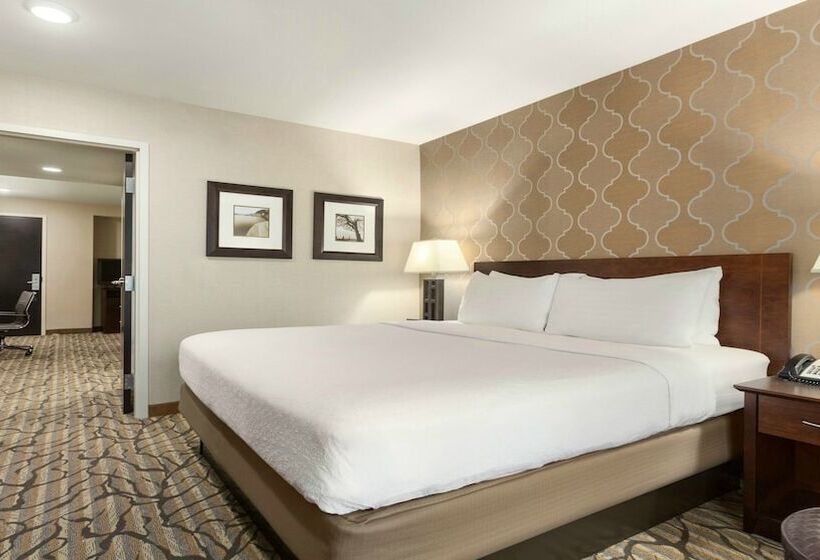 套房, Holiday Inn Hotel & Suites Gateway, An Ihg