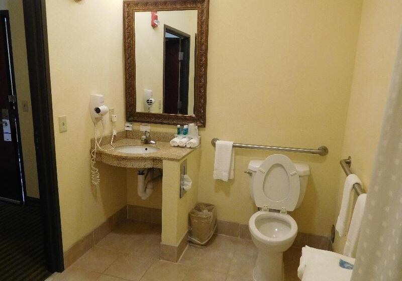 Стандартный Номер Кровать Кинг, Holiday Inn Express Ponca City, An Ihg
