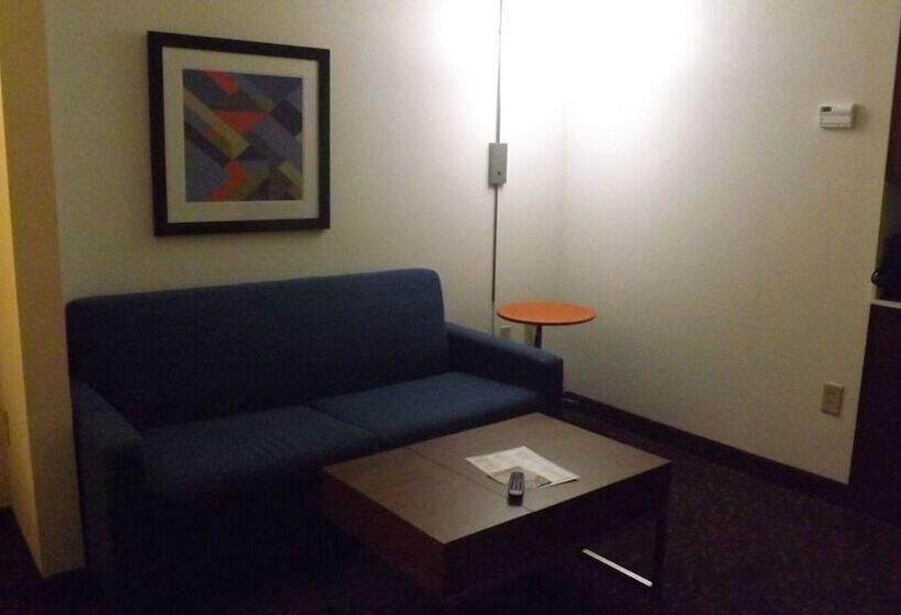 套房, Holiday Inn Express & Suites Dyersburg, An Ihg