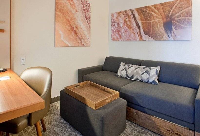 سوییت, Springhill Suites By Marriott Wichita East At Plazzio