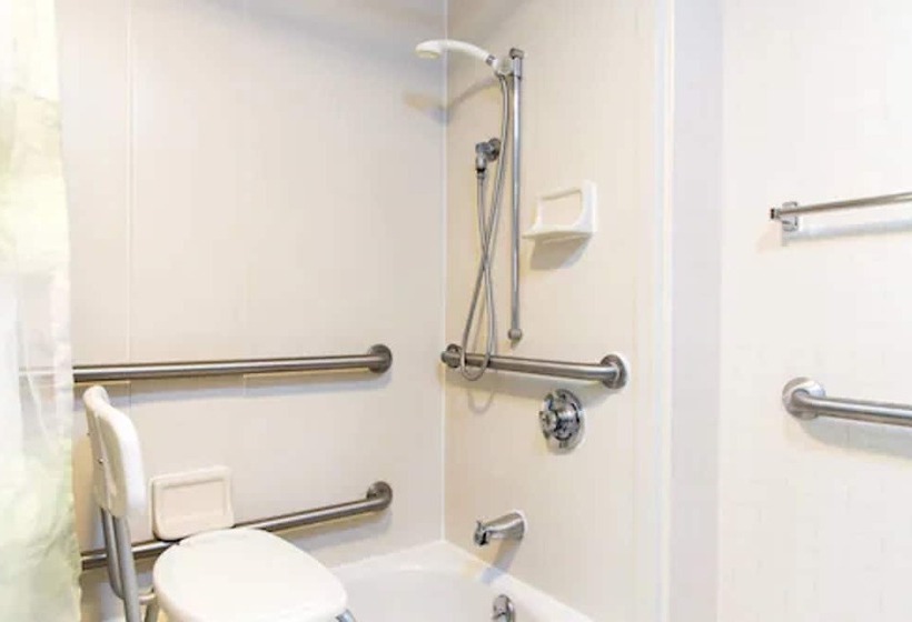 سوئیت برای معلولان, Springhill Suites By Marriott Wichita East At Plazzio