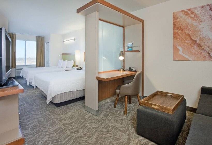 سوئیت برای معلولان, Springhill Suites By Marriott Wichita East At Plazzio