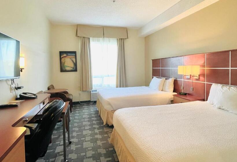 スタンダードルーム, Days Inn By Wyndham Grande Prairie